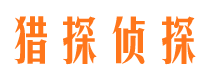 山亭市场调查